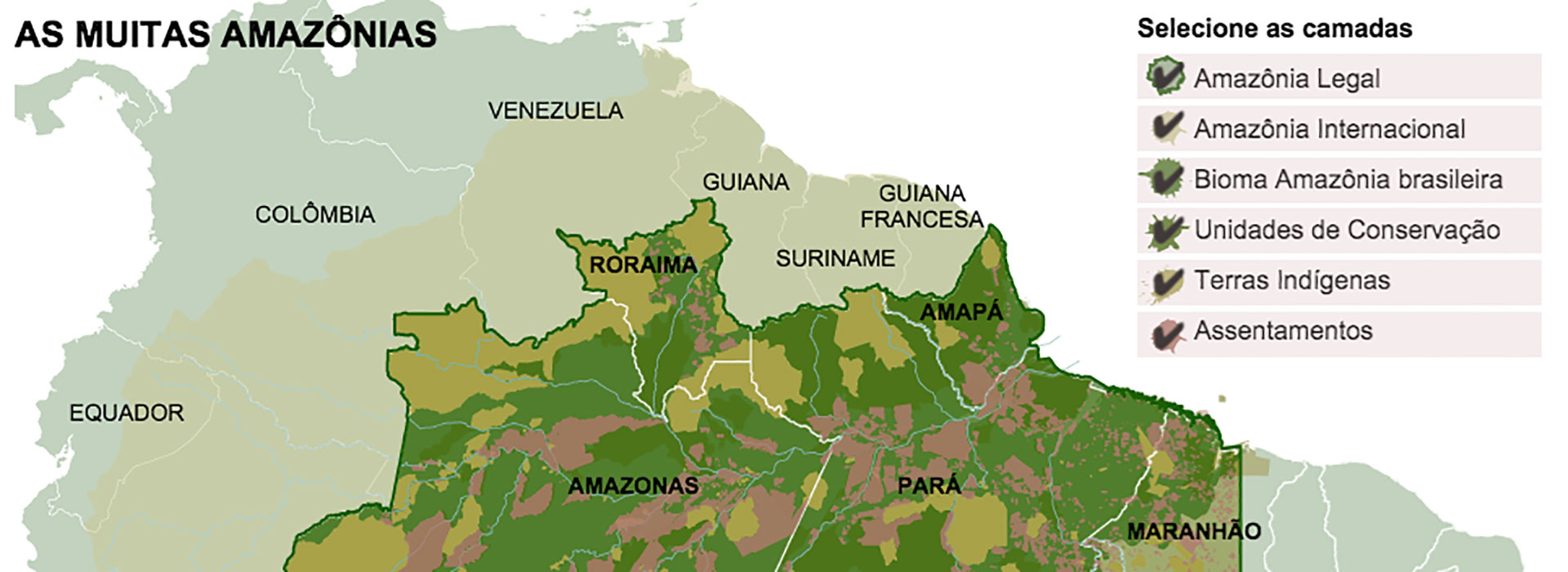 Image of project “Tudo Sobre - Desmatamento Zero”
